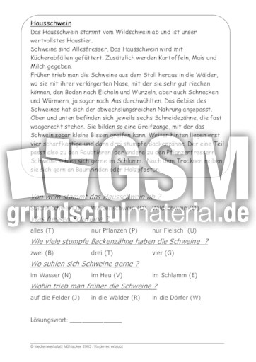 Hausschwein.pdf